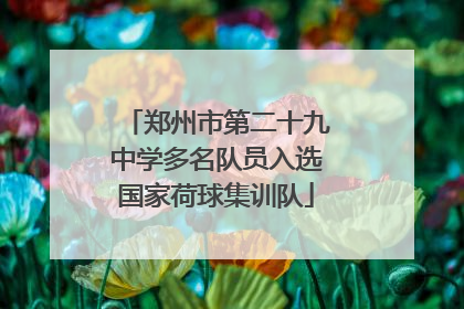 郑州市第二十九中学多名队员入选国家荷球集训队