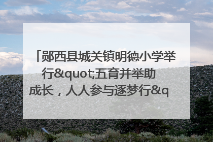郧西县城关镇明德小学举行"五育并举助成长，人人参与逐梦行"庆六一活动
