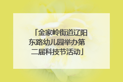 金家岭街道辽阳东路幼儿园举办第二届科技节活动
