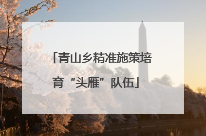 青山乡精准施策培育“头雁”队伍