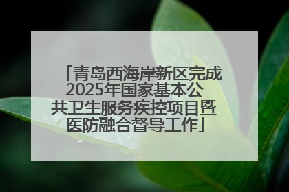 青岛西海岸新区完成2025年国家基本公共卫生服务疾控项目暨医防融合督导工作