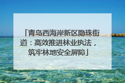 青岛西海岸新区隐珠街道：高效推进林业执法，筑牢林地安全屏障