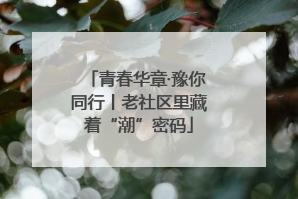 青春华章·豫你同行丨老社区里藏着“潮”密码