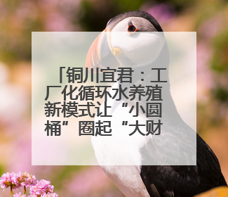 铜川宜君：工厂化循环水养殖新模式让“小圆桶”圈起“大财富”