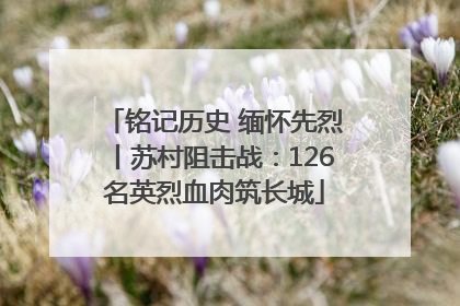 铭记历史 缅怀先烈丨苏村阻击战：126名英烈血肉筑长城
