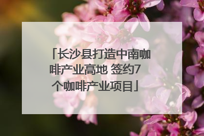 长沙县打造中南咖啡产业高地 签约7个咖啡产业项目