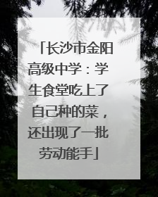 长沙市金阳高级中学：学生食堂吃上了自己种的菜，还出现了一批劳动能手