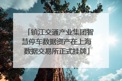 镇江交通产业集团智慧停车数据资产在上海数据交易所正式挂牌