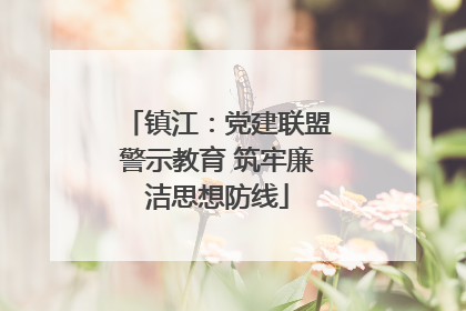 镇江：党建联盟警示教育 筑牢廉洁思想防线