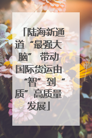 陆海新通道“最强大脑” 带动国际货运由“智”到“质”高质量发展