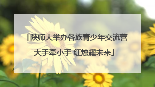 陕师大举办各族青少年交流营 大手牵小手 红烛耀未来