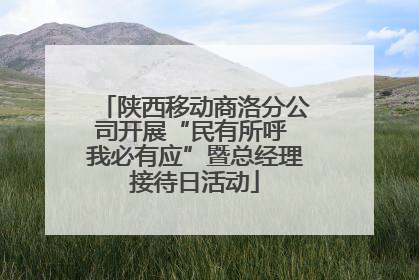 陕西移动商洛分公司开展“民有所呼 我必有应”暨总经理接待日活动