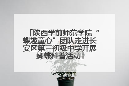 陕西学前师范学院“蝶趣童心”团队走进长安区第三初级中学开展蝴蝶科普活动