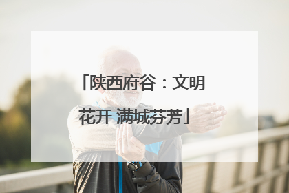 陕西府谷：文明花开 满城芬芳