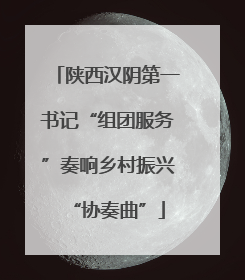 陕西汉阴第一书记“组团服务”奏响乡村振兴“协奏曲”