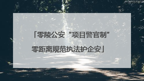 零陵公安“项目警官制”零距离规范执法护企安