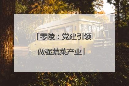 零陵：党建引领 做强蔬菜产业