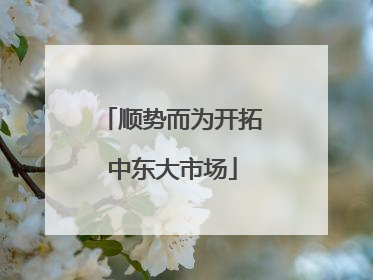 顺势而为开拓中东大市场