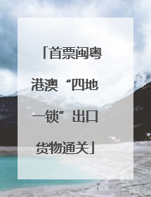 首票闽粤港澳“四地一锁”出口货物通关