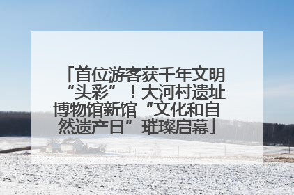 首位游客获千年文明“头彩”！大河村遗址博物馆新馆“文化和自然遗产日”璀璨启幕