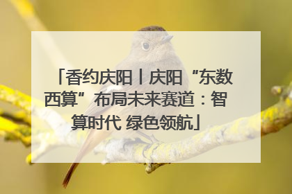 香约庆阳丨庆阳“东数西算”布局未来赛道：智算时代 绿色领航
