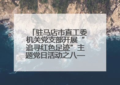 驻马店市直工委机关党支部开展“追寻红色足迹”主题党日活动之八——鏖战独树镇
