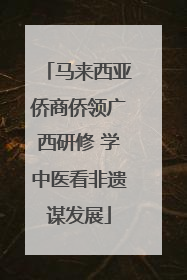 马来西亚侨商侨领广西研修 学中医看非遗谋发展