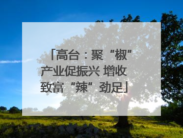 高台：聚“椒”产业促振兴 增收致富“辣”劲足