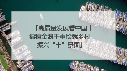 高质量发展看中国丨福稻金浪千重绘就乡村振兴“丰”景图