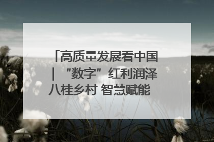 高质量发展看中国｜“数字”红利润泽八桂乡村 智慧赋能绘就振兴画卷