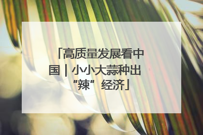 高质量发展看中国｜小小大蒜种出“辣”经济