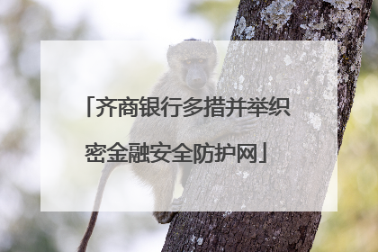 齐商银行多措并举织密金融安全防护网