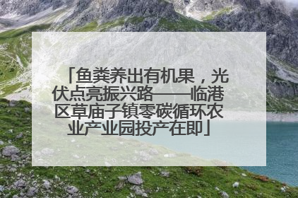 鱼粪养出有机果，光伏点亮振兴路——临港区草庙子镇零碳循环农业产业园投产在即