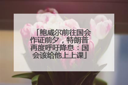 鲍威尔前往国会作证前夕，特朗普再度呼吁降息：国会该给他上上课
