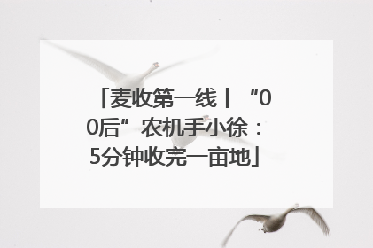 麦收第一线丨“00后”农机手小徐：5分钟收完一亩地