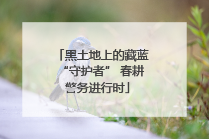 黑土地上的藏蓝“守护者” 春耕警务进行时