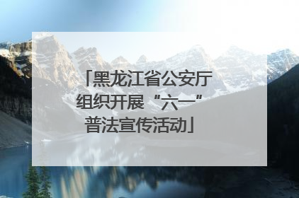 黑龙江省公安厅组织开展“六一”普法宣传活动