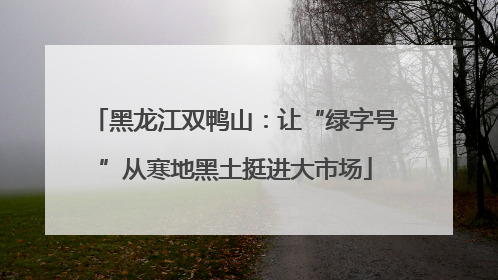 黑龙江双鸭山：让“绿字号”从寒地黑土挺进大市场
