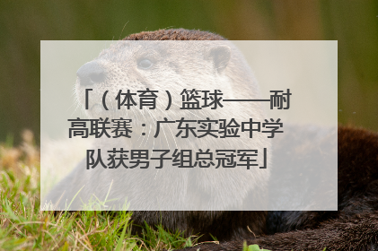 （体育）篮球——耐高联赛：广东实验中学队获男子组总冠军