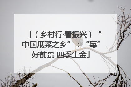 （乡村行·看振兴）“中国瓜菜之乡”：“莓”好前景 四季生金