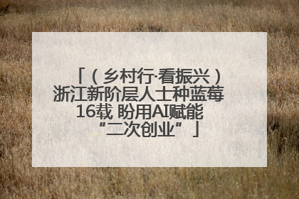 （乡村行·看振兴）浙江新阶层人士种蓝莓16载 盼用AI赋能“二次创业”