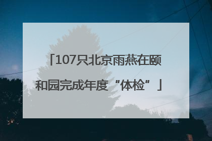 107只北京雨燕在颐和园完成年度“体检”