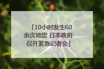 10小时发生60余次地震 日本政府召开紧急记者会