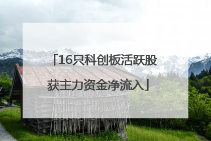 16只科创板活跃股获主力资金净流入