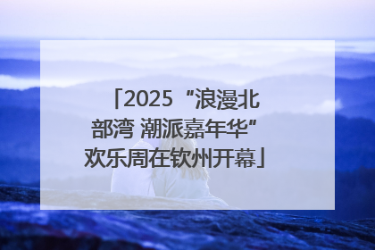 2025“浪漫北部湾 潮派嘉年华”欢乐周在钦州开幕