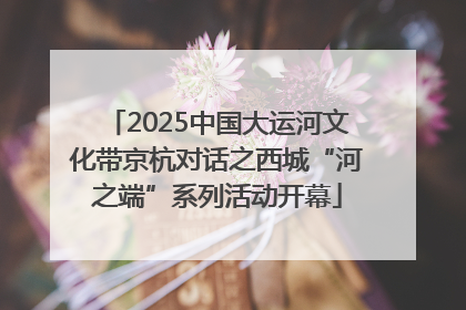 2025中国大运河文化带京杭对话之西城“河之端”系列活动开幕