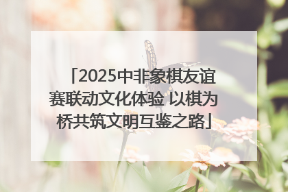 2025中非象棋友谊赛联动文化体验 以棋为桥共筑文明互鉴之路