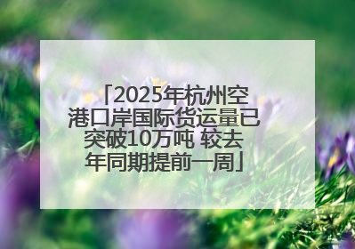 2025年杭州空港口岸国际货运量已突破10万吨 较去年同期提前一周