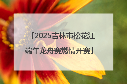 2025吉林市松花江端午龙舟赛燃情开赛