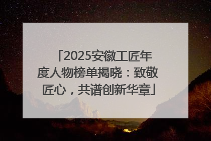 2025安徽工匠年度人物榜单揭晓：致敬匠心，共谱创新华章